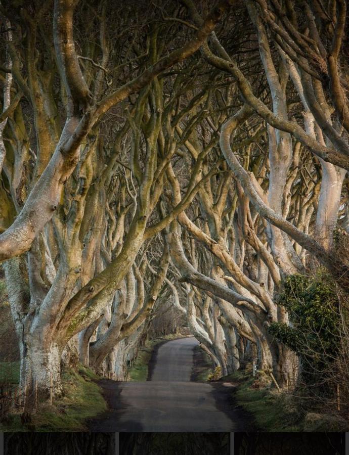 Ballycastle Hilltop Apartment Dış mekan fotoğraf